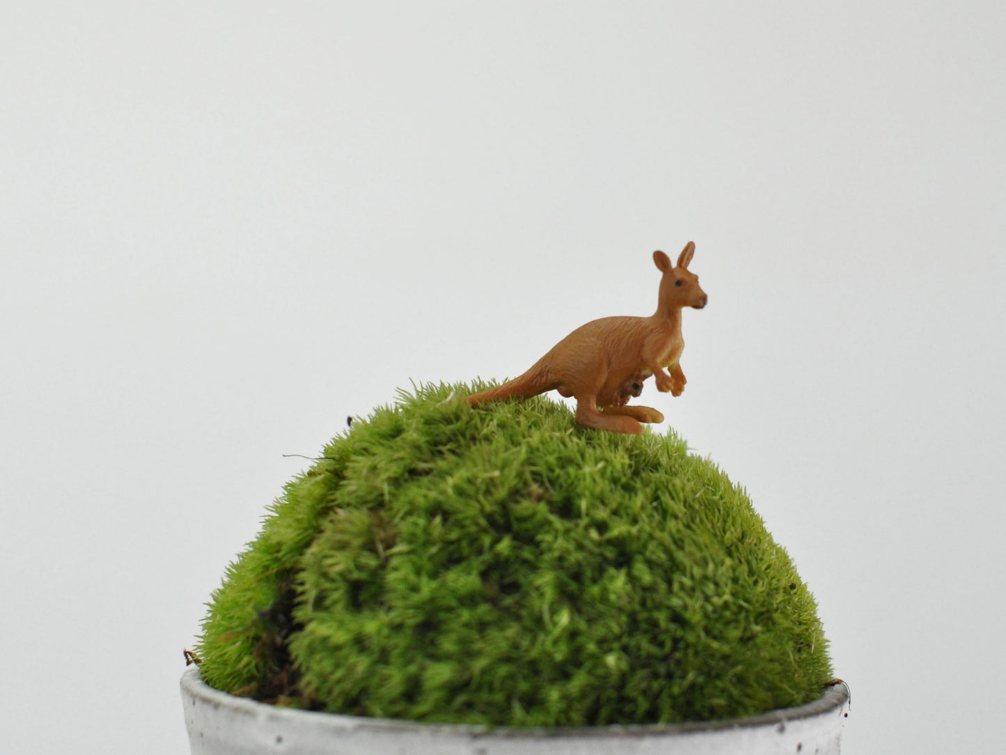 盆栽飾り・フィギア