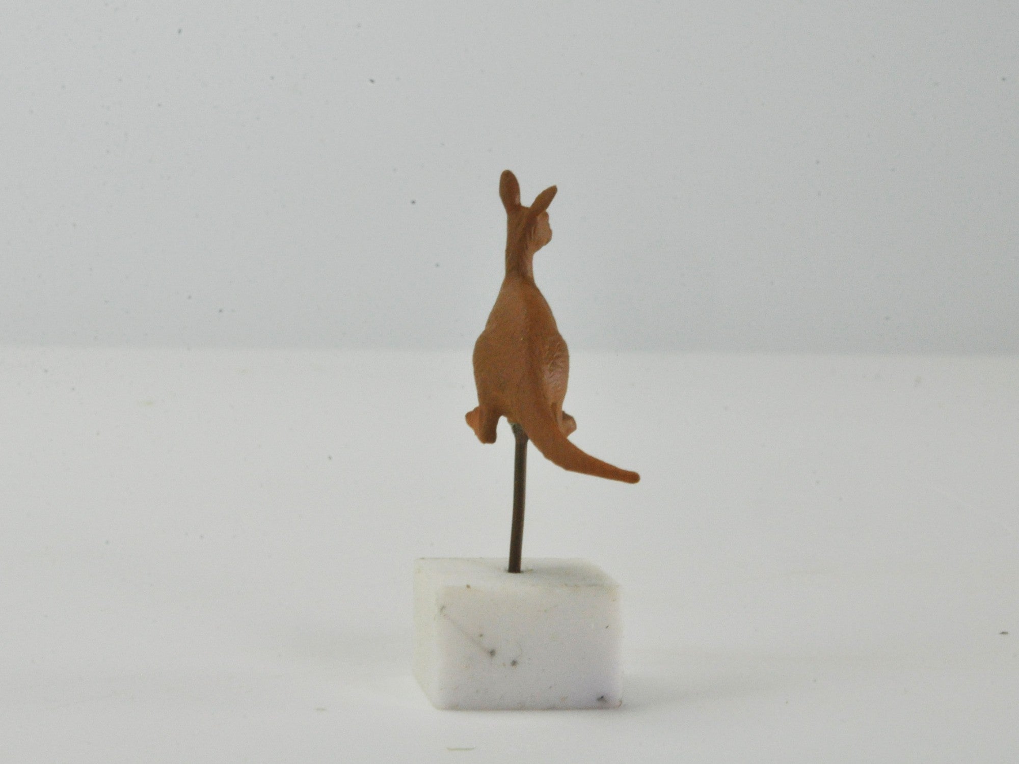 アニマルピック カンガルーの販売｜盆栽妙 – 盆栽妙 本店