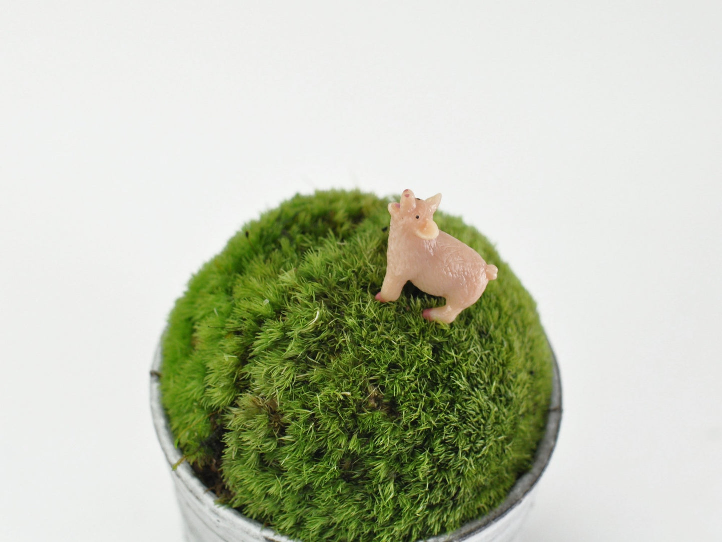 盆栽飾り・フィギア