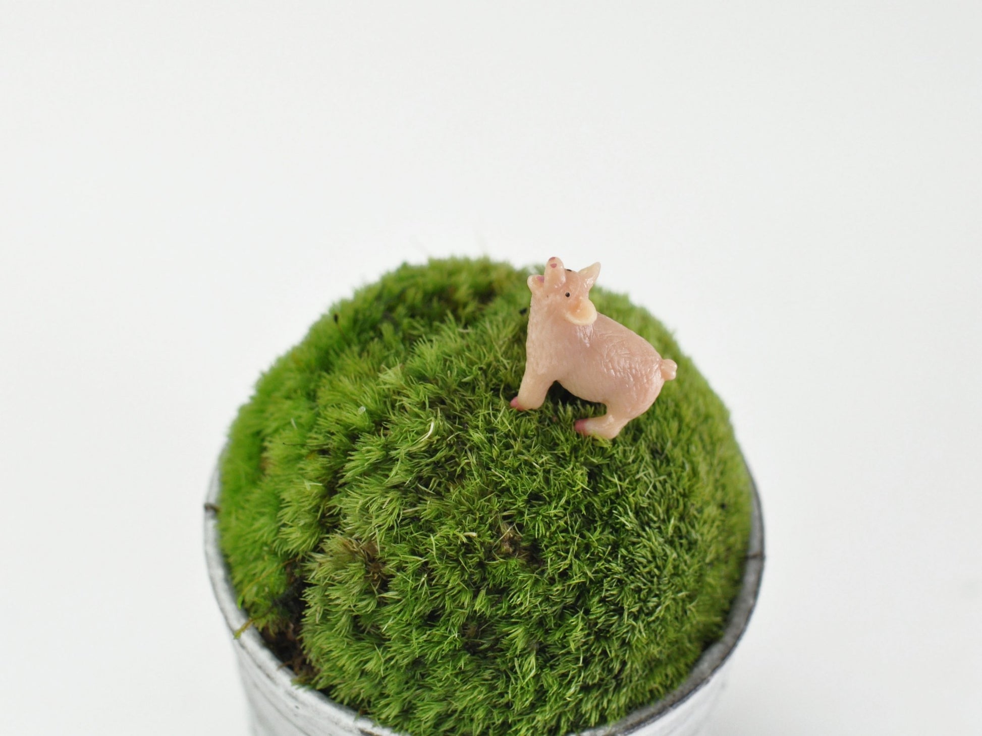 盆栽飾り・フィギア