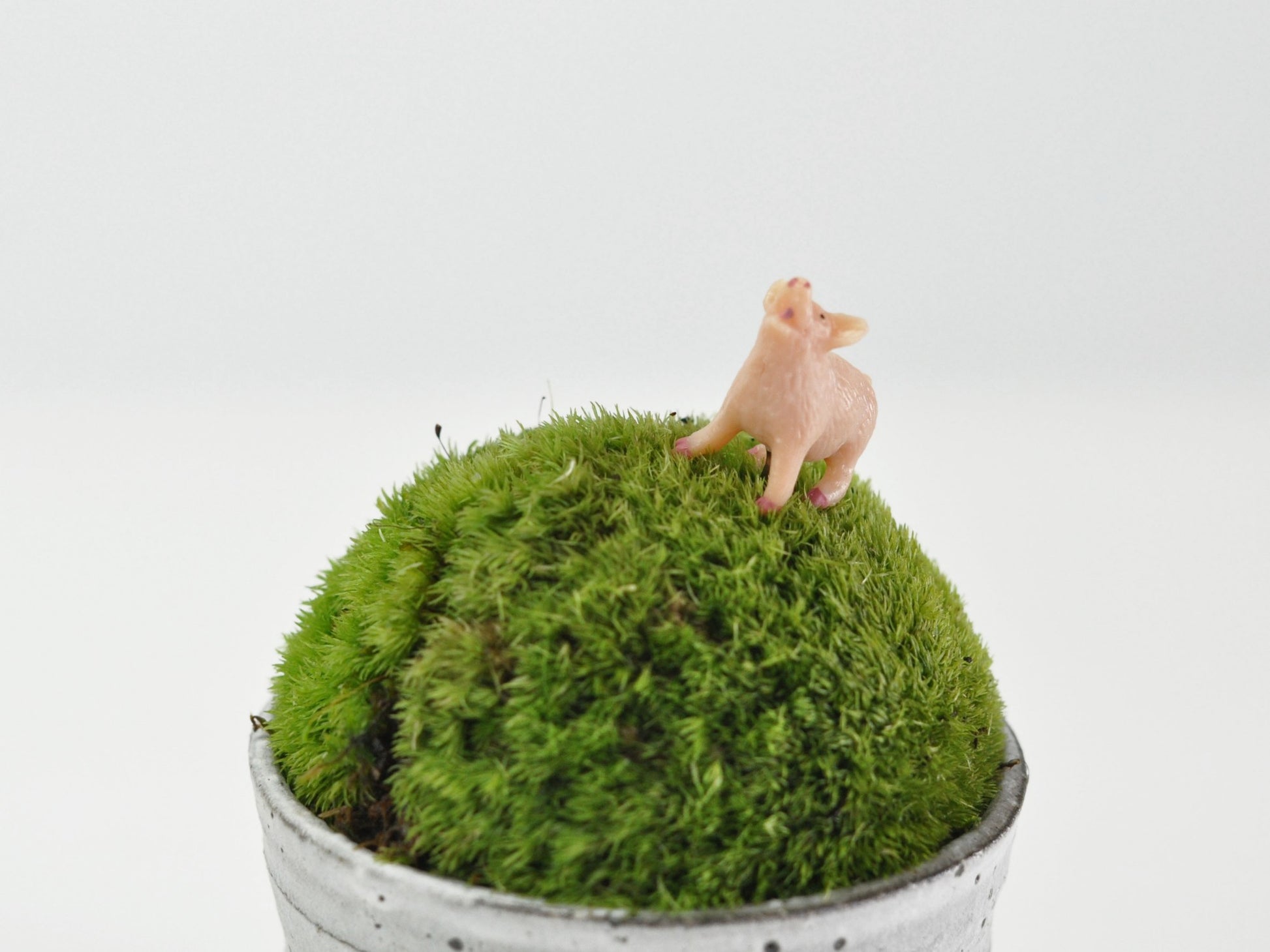 盆栽飾り・フィギア
