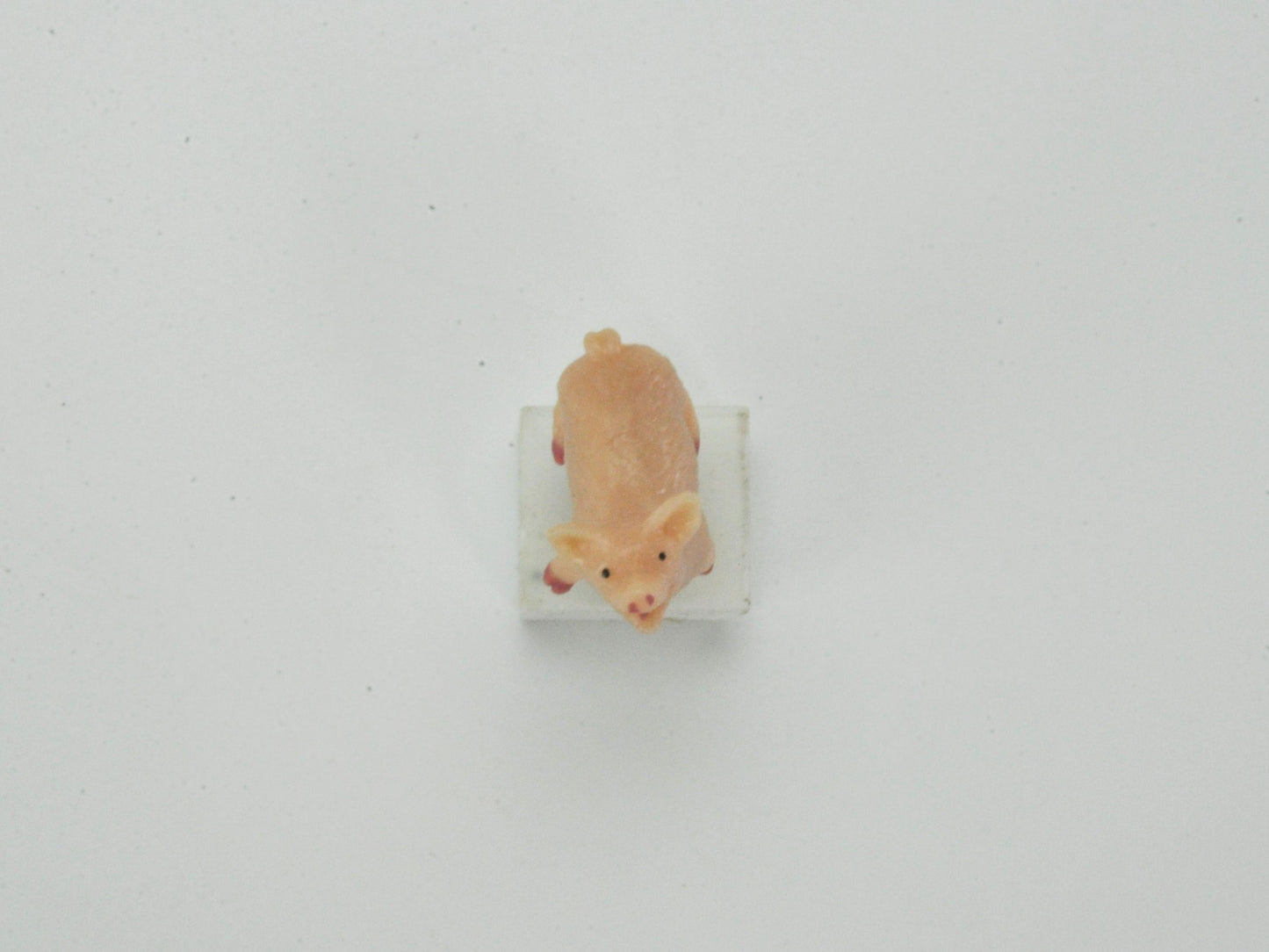 盆栽飾り・フィギア