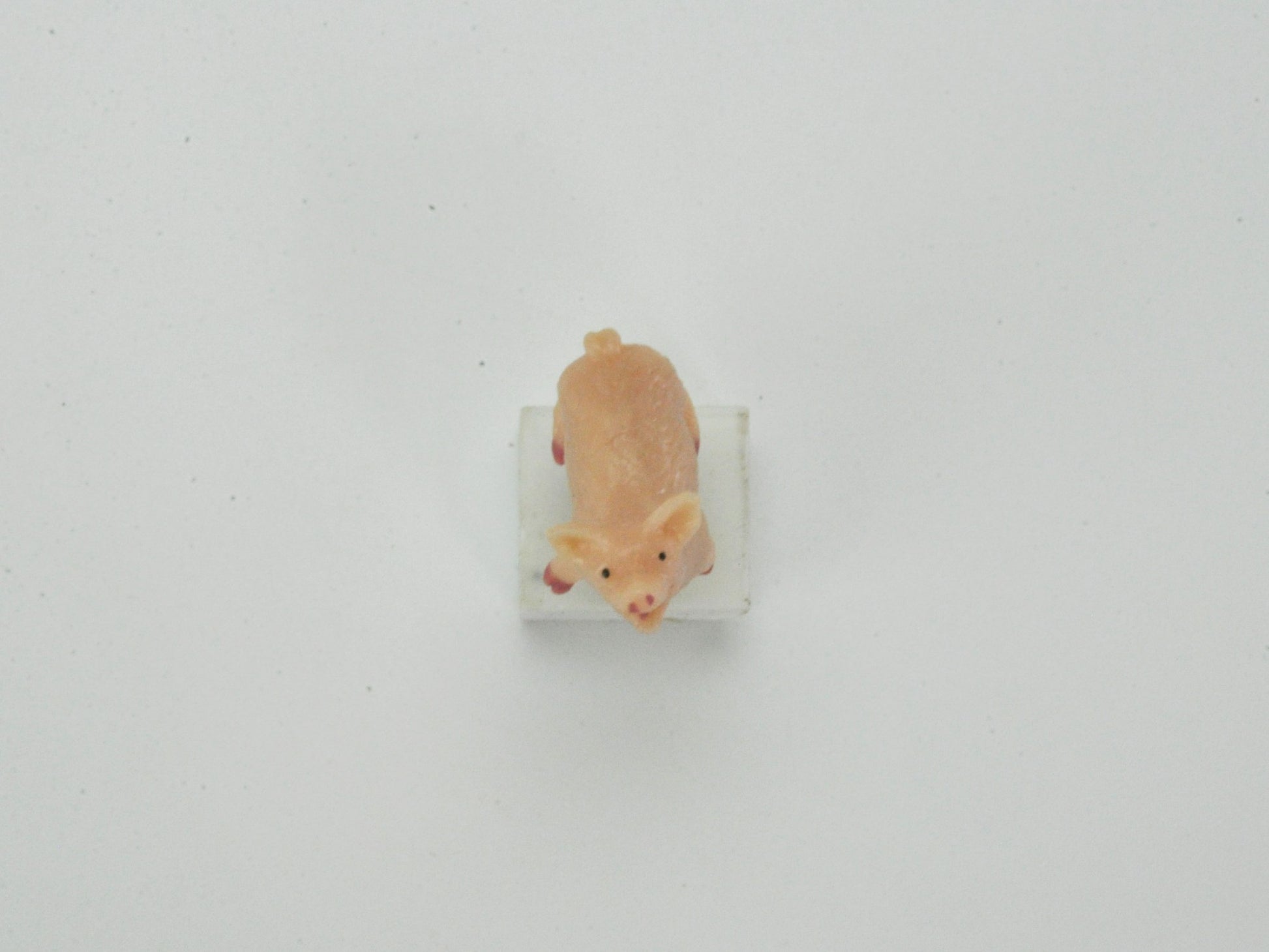 盆栽飾り・フィギア