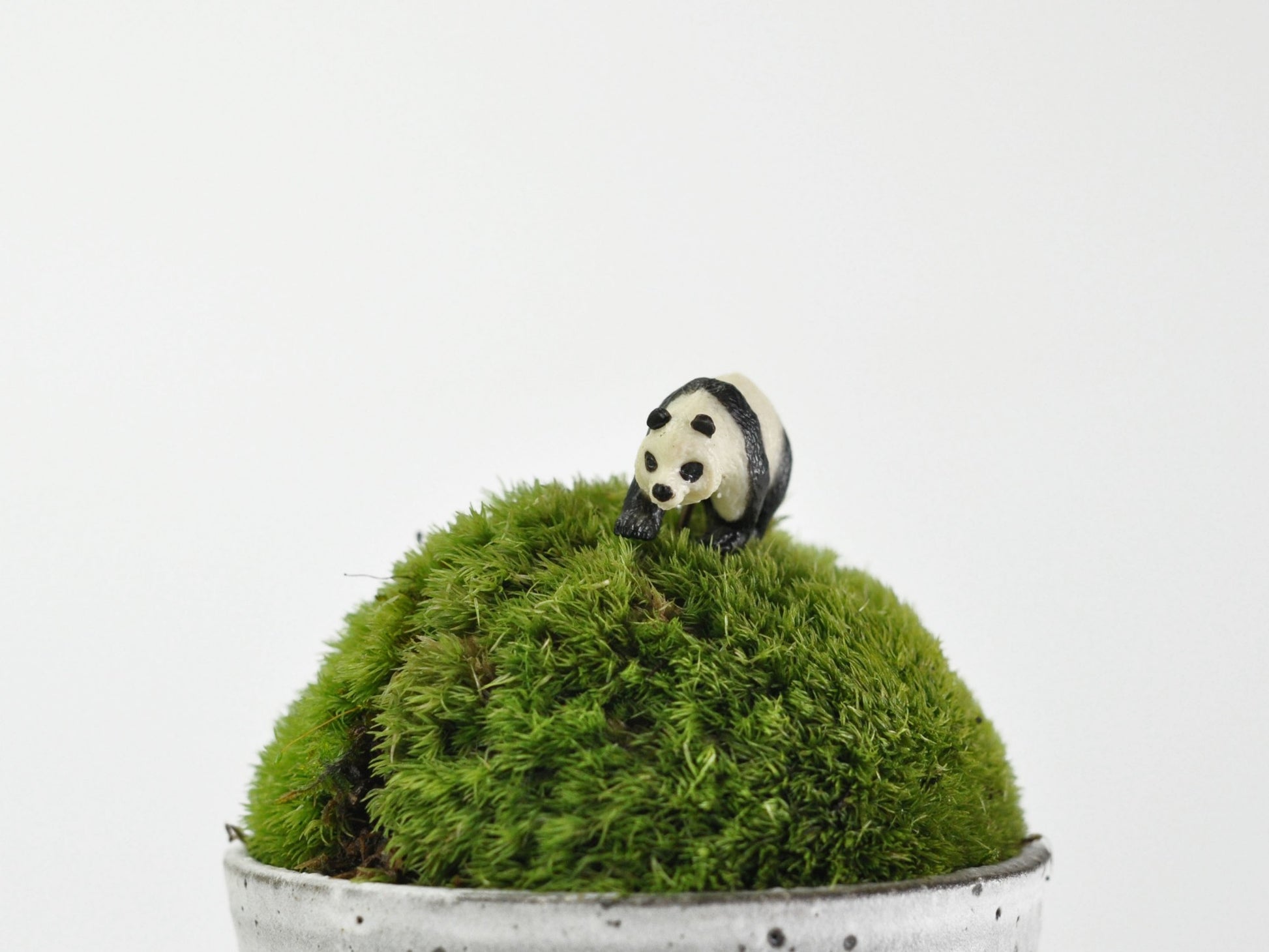 盆栽飾り・フィギア