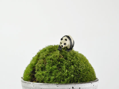 盆栽飾り・フィギア