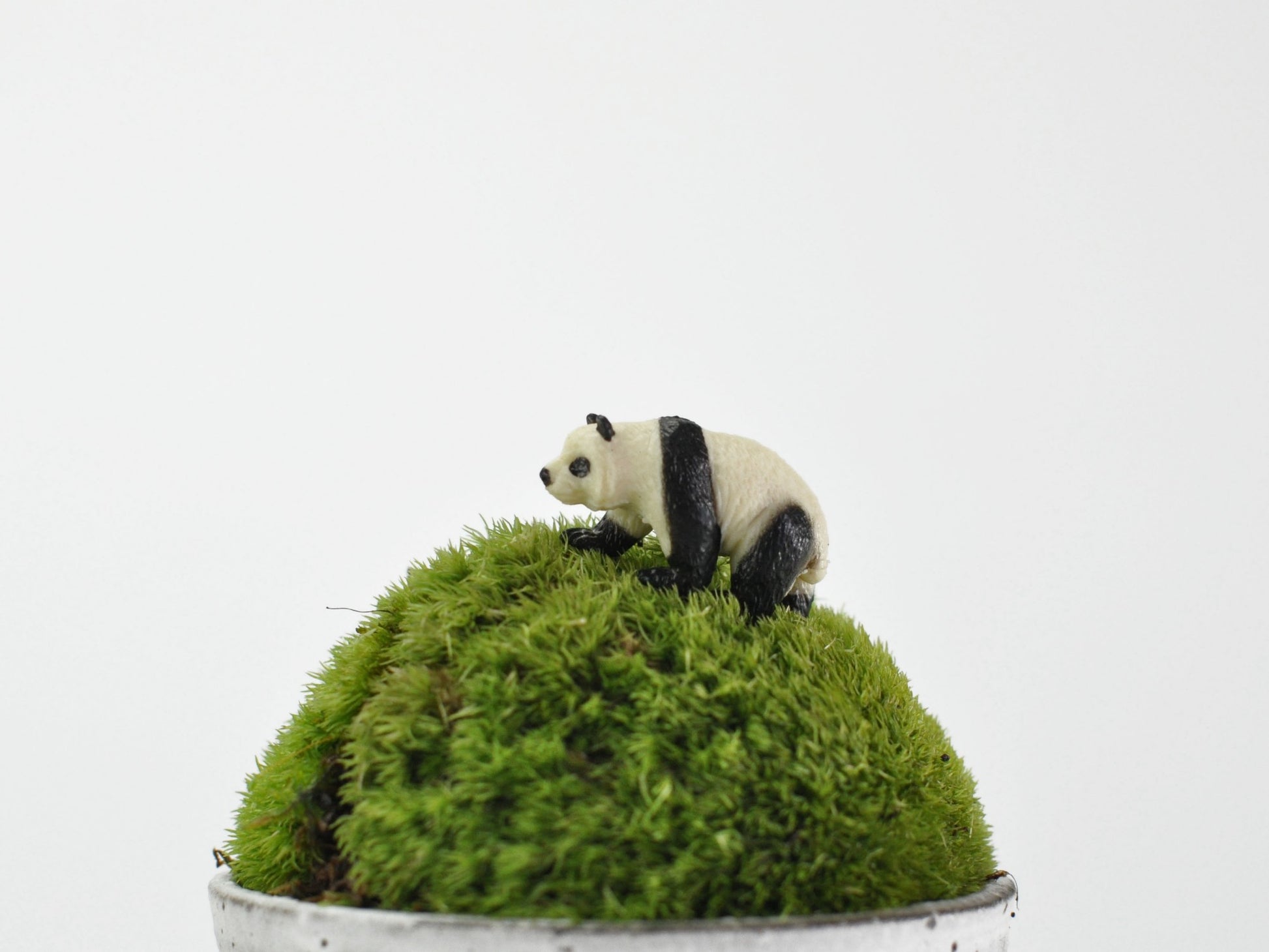 盆栽飾り・フィギア