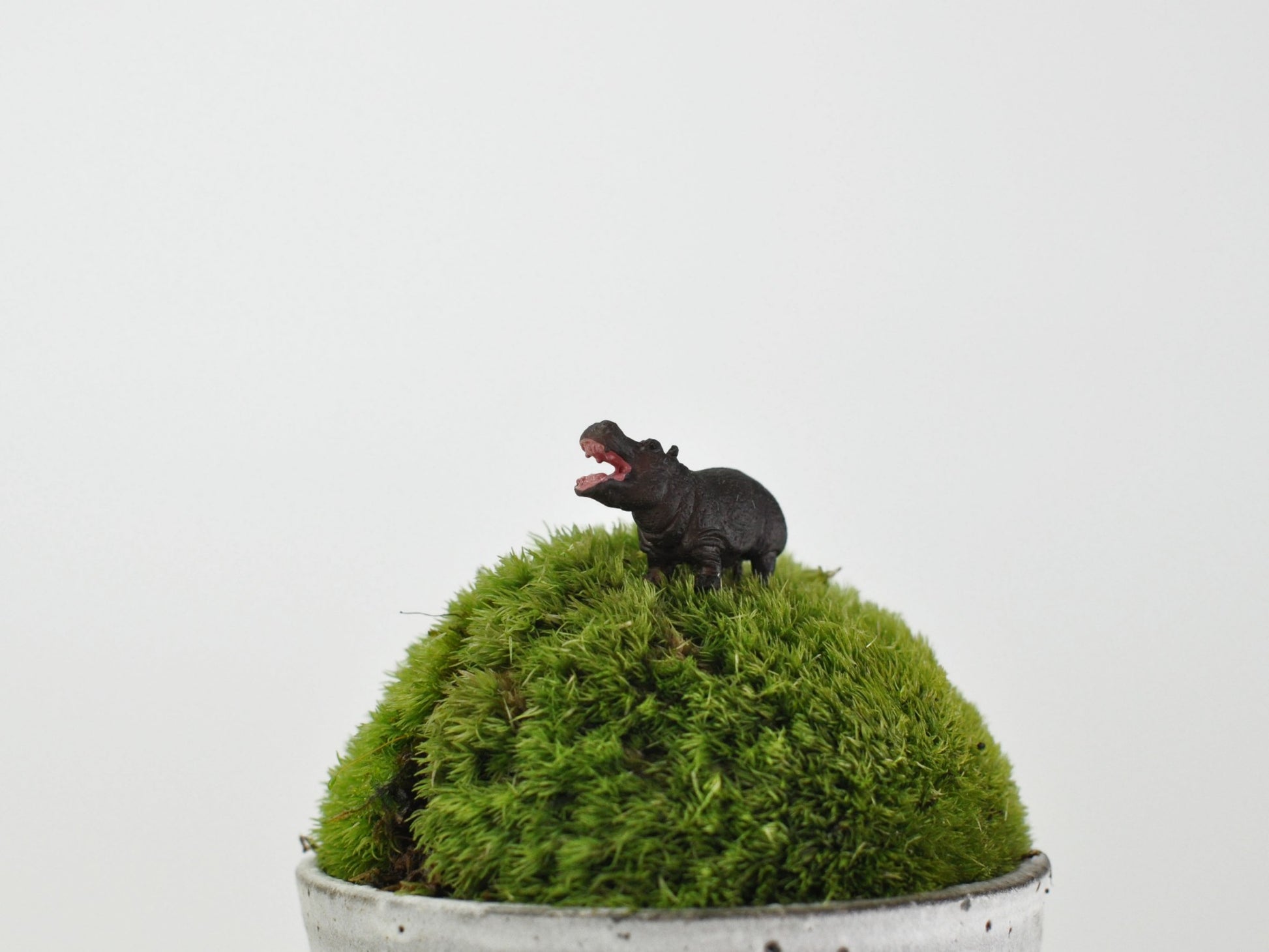 盆栽飾り・フィギア