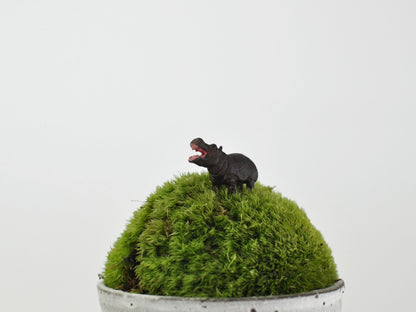 盆栽飾り・フィギア