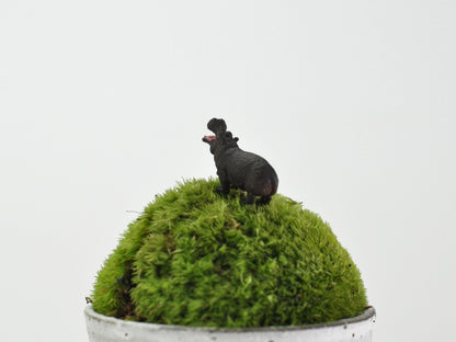 盆栽飾り・フィギア