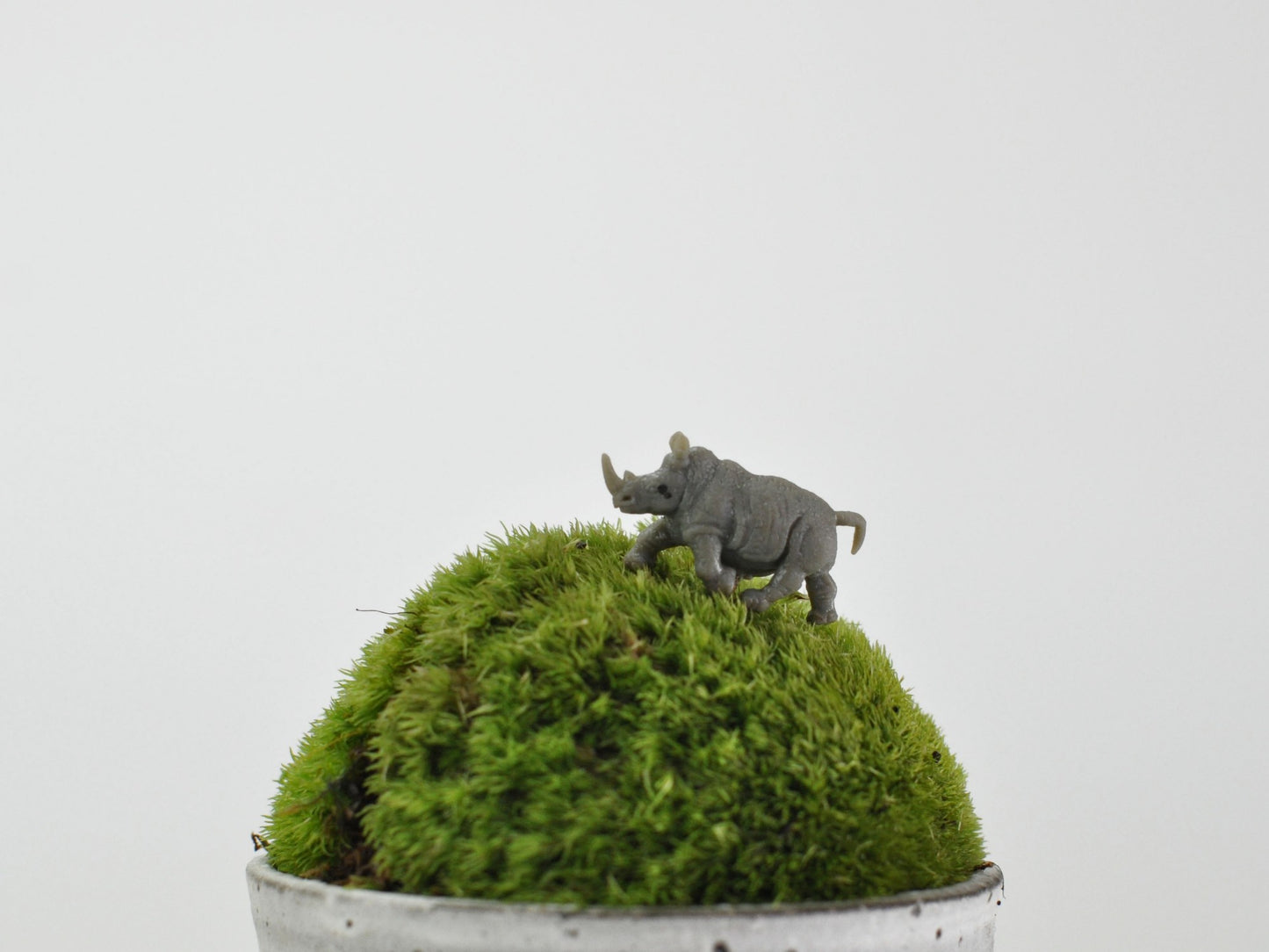 盆栽飾り・フィギア