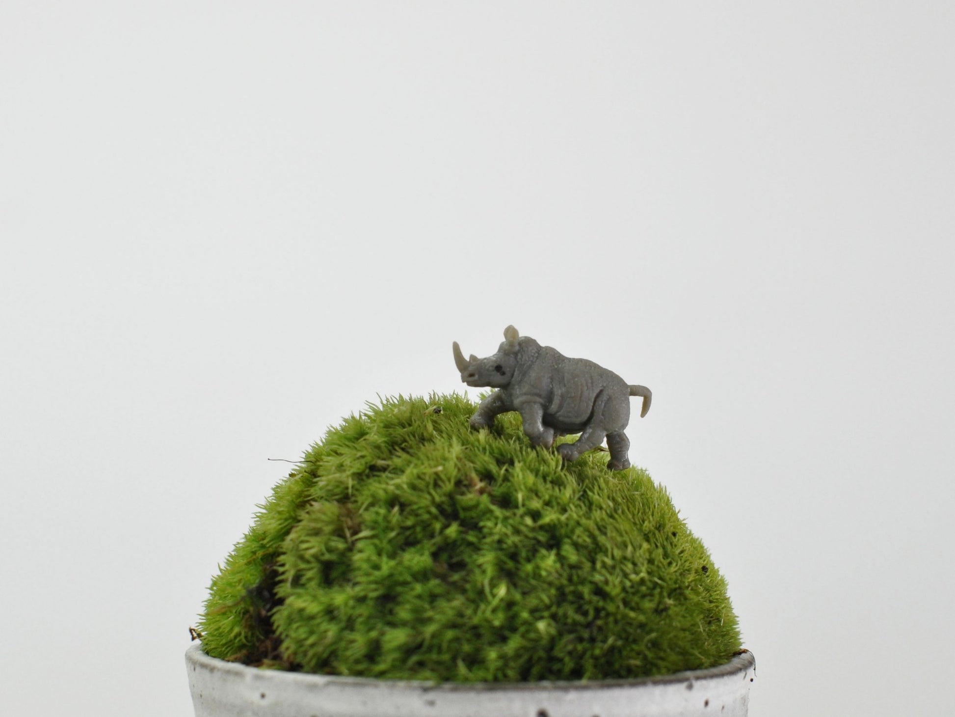 盆栽飾り・フィギア