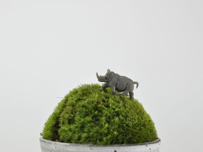 盆栽飾り・フィギア