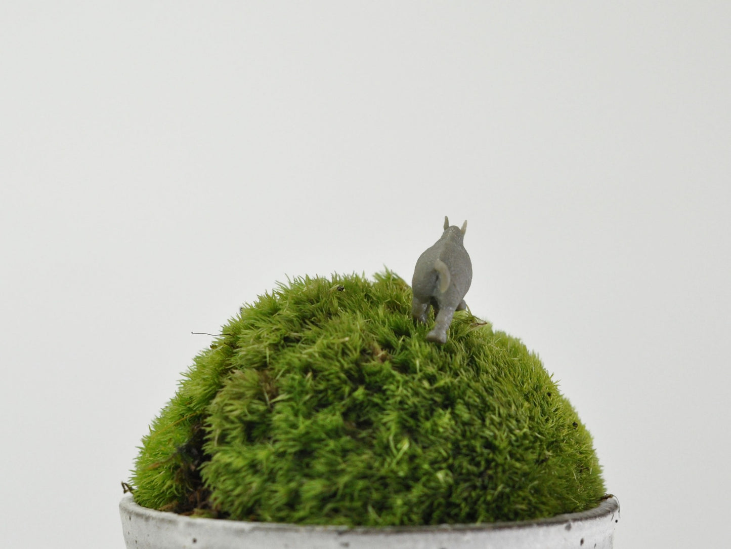 盆栽飾り・フィギア