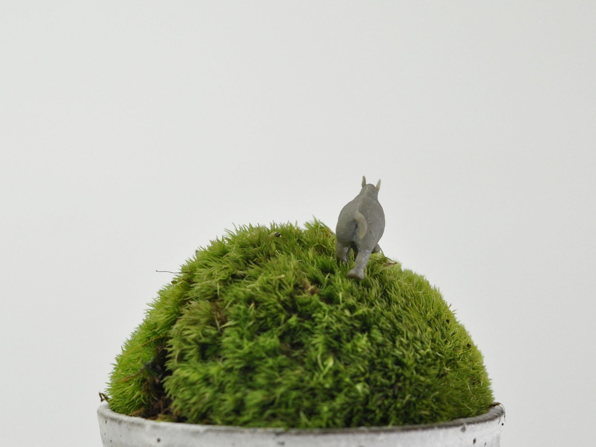 盆栽飾り・フィギア