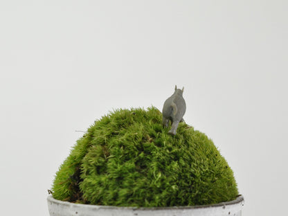 盆栽飾り・フィギア