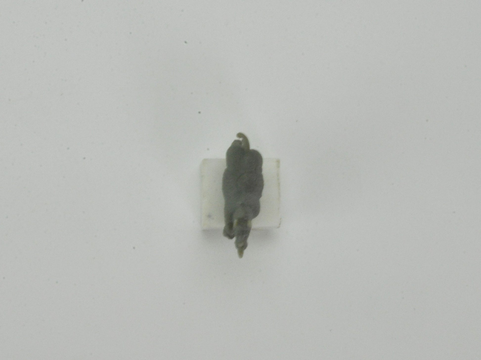 盆栽飾り・フィギア