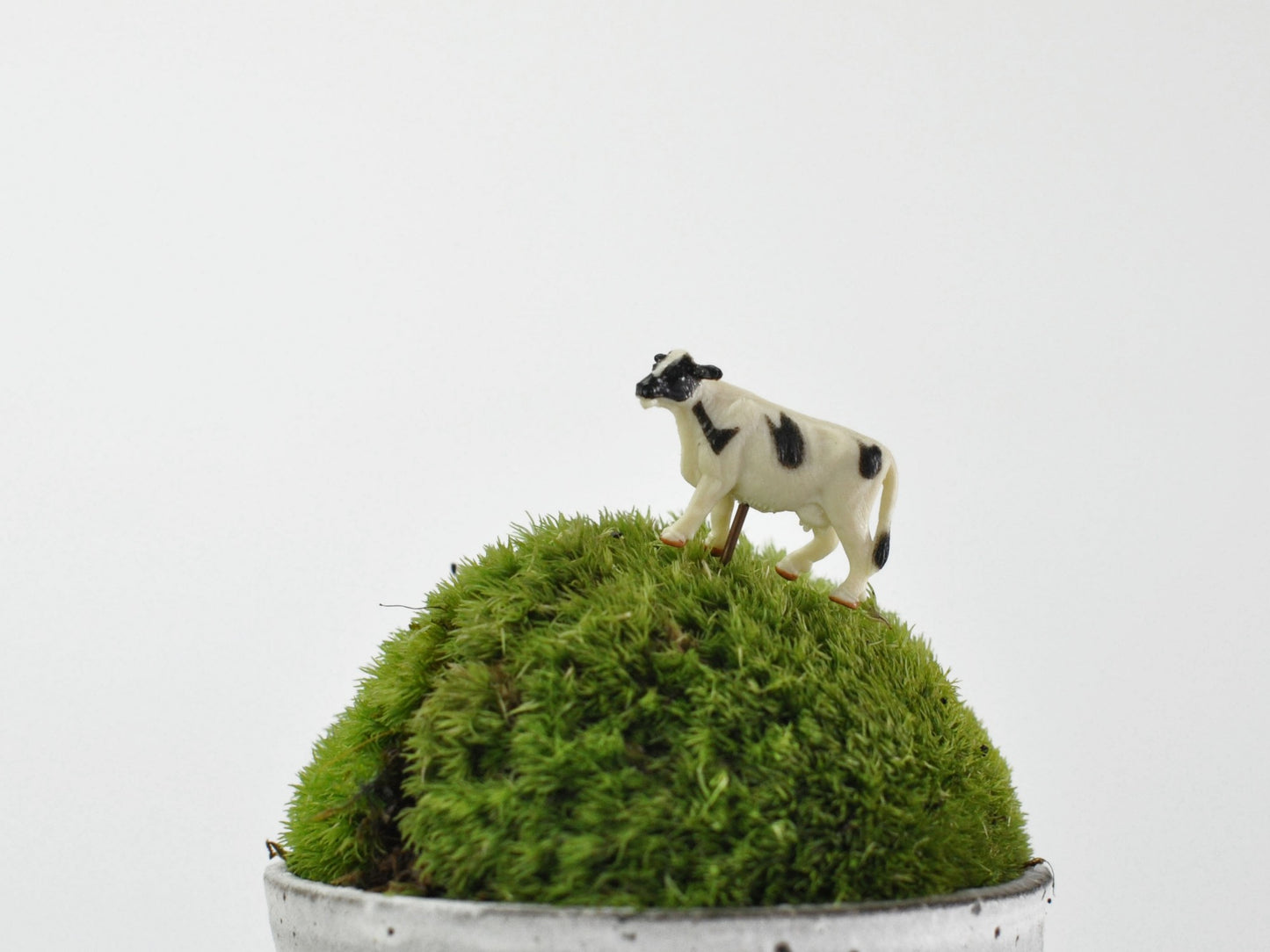 盆栽飾り・フィギア