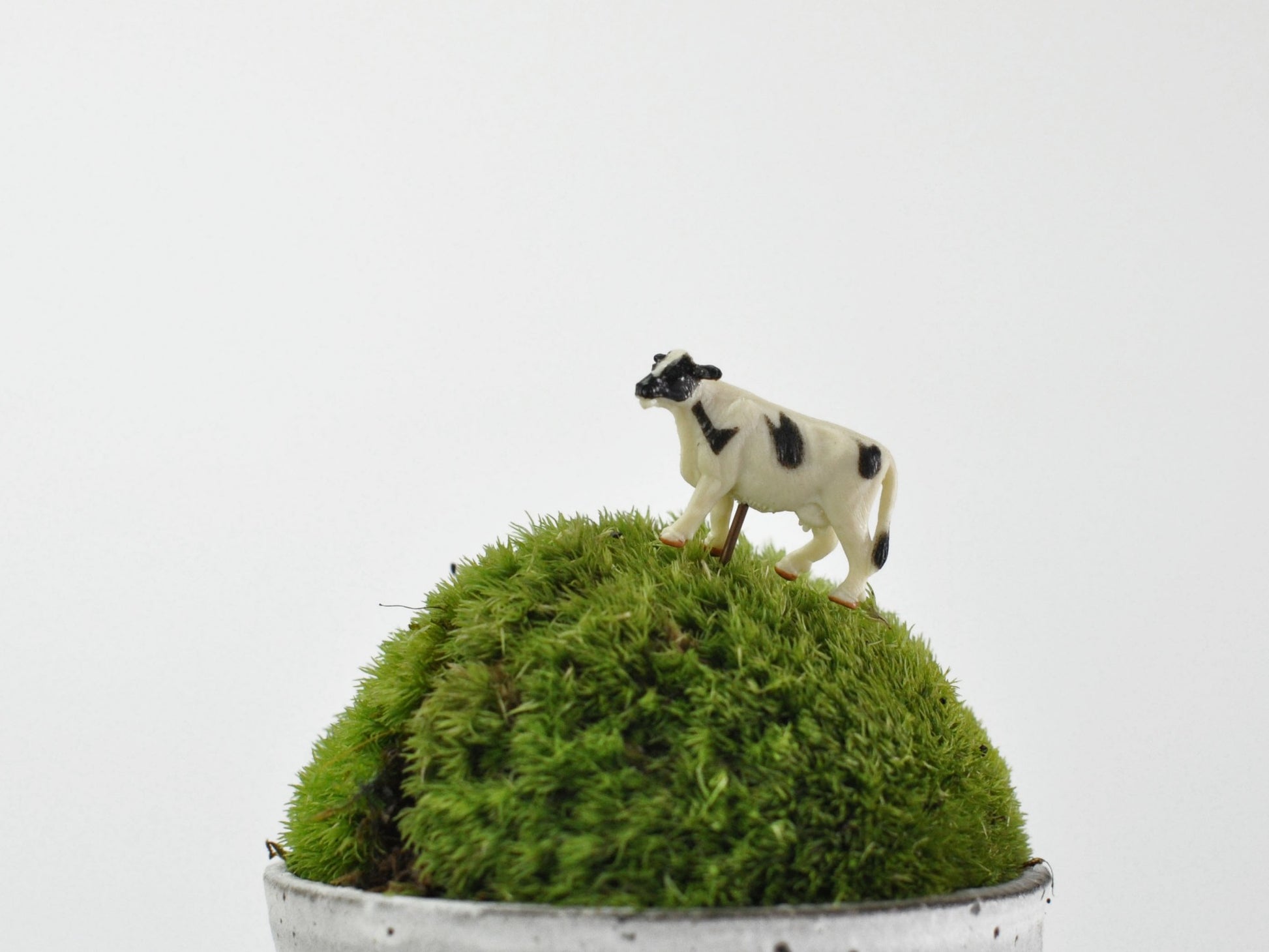 盆栽飾り・フィギア