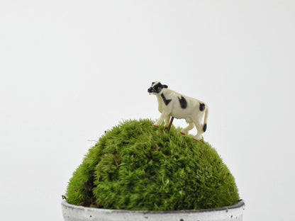 盆栽飾り・フィギア