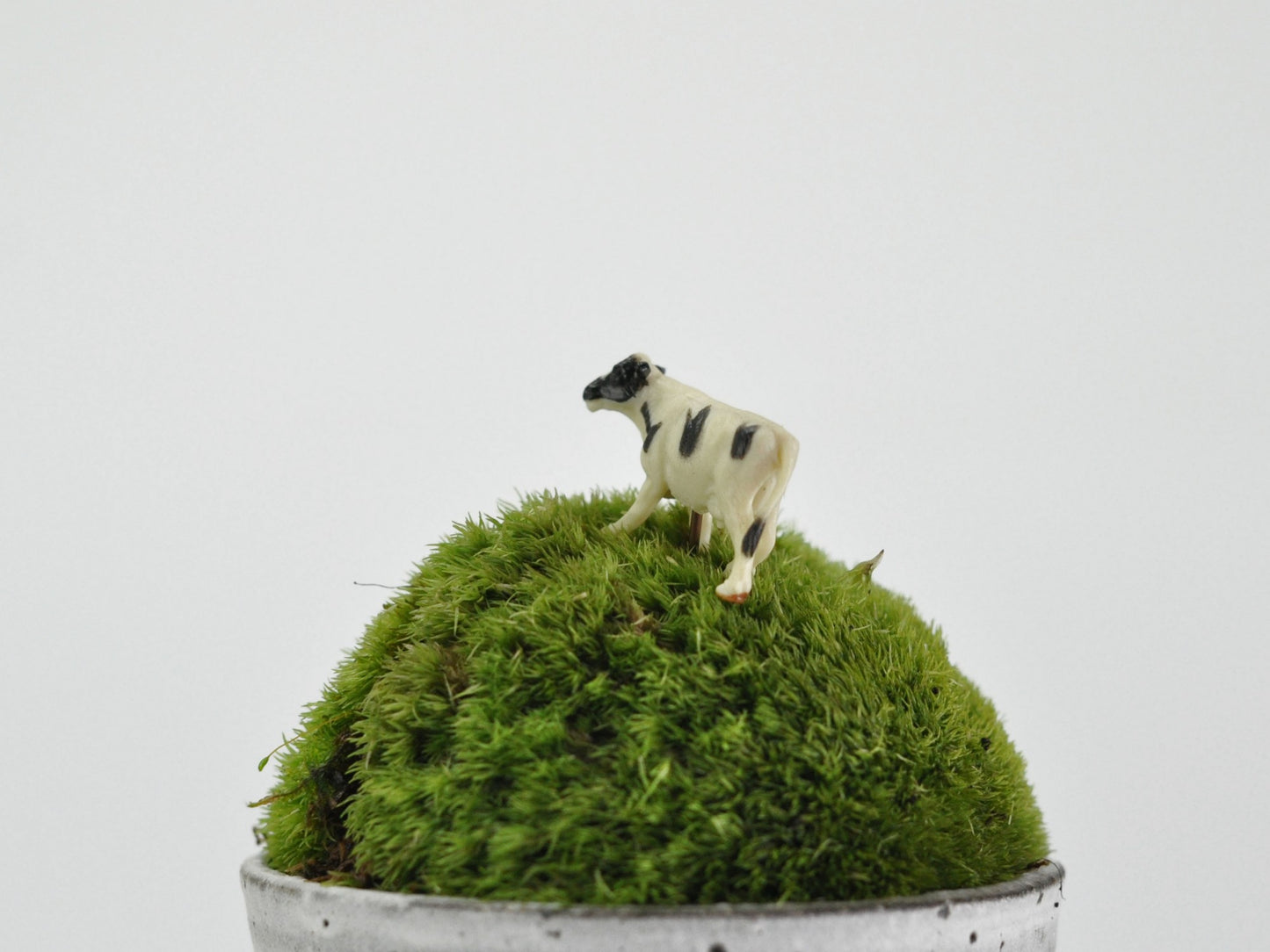 盆栽飾り・フィギア