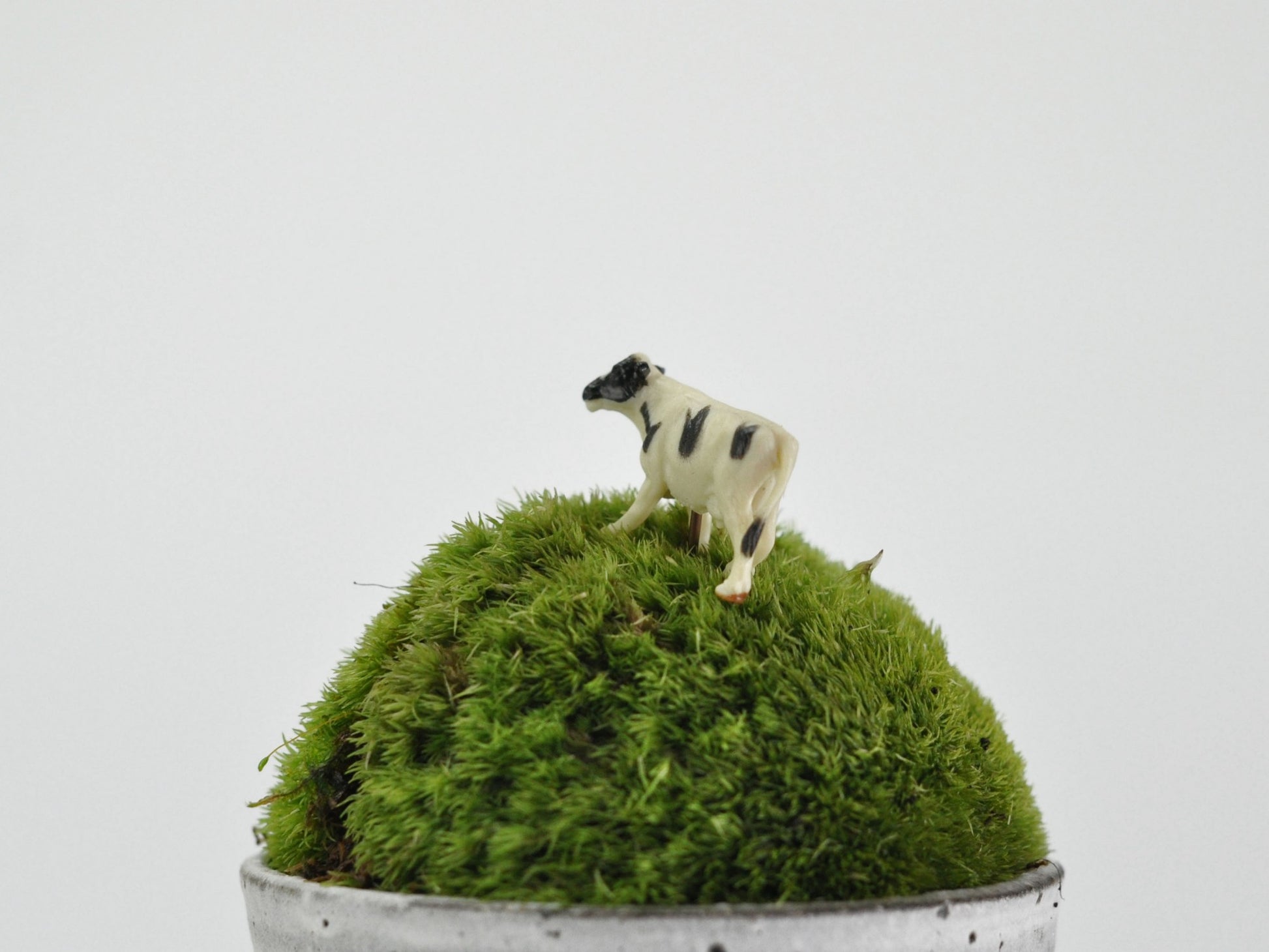 盆栽飾り・フィギア