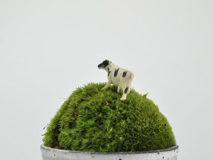 盆栽飾り・フィギア