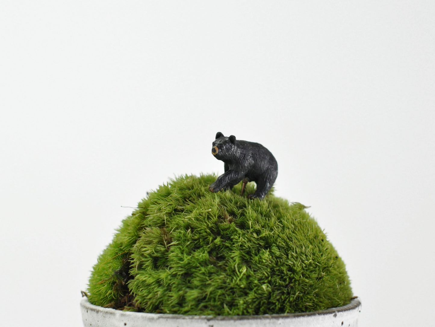 アニマルピック ブラックベア