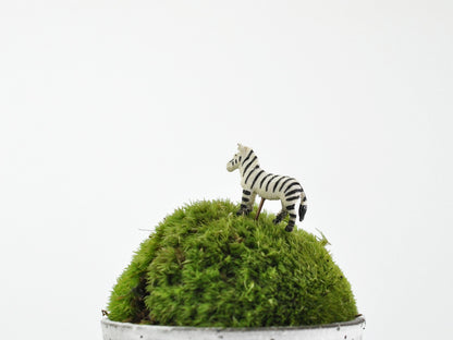 アニマルピック シマウマ