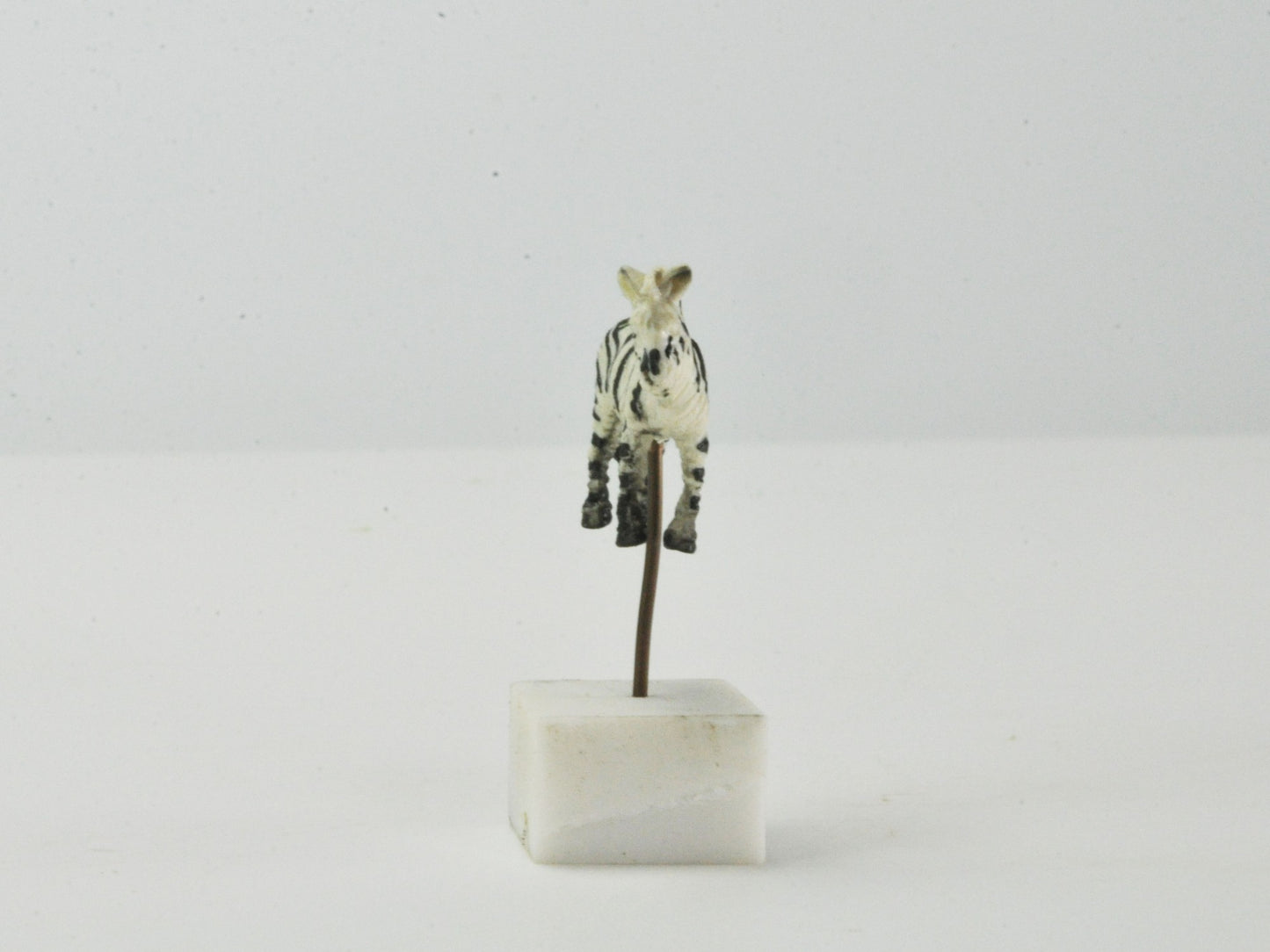 アニマルピック シマウマ