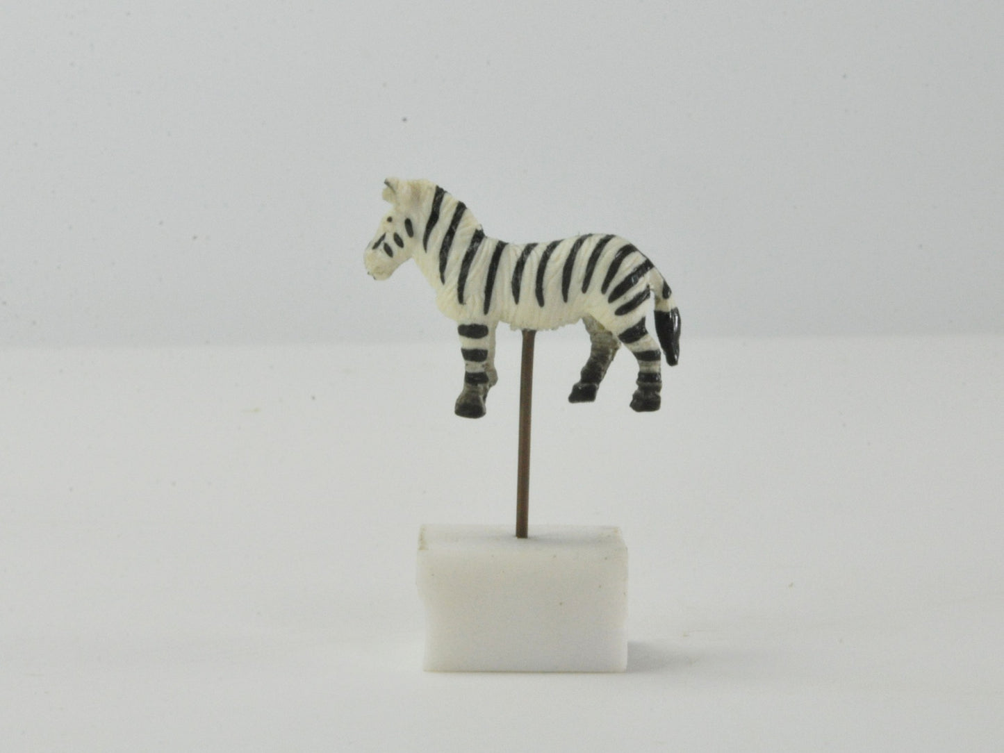 アニマルピック シマウマ