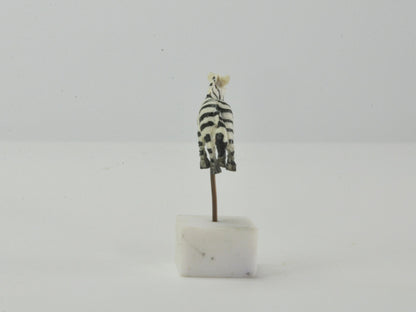 アニマルピック シマウマ