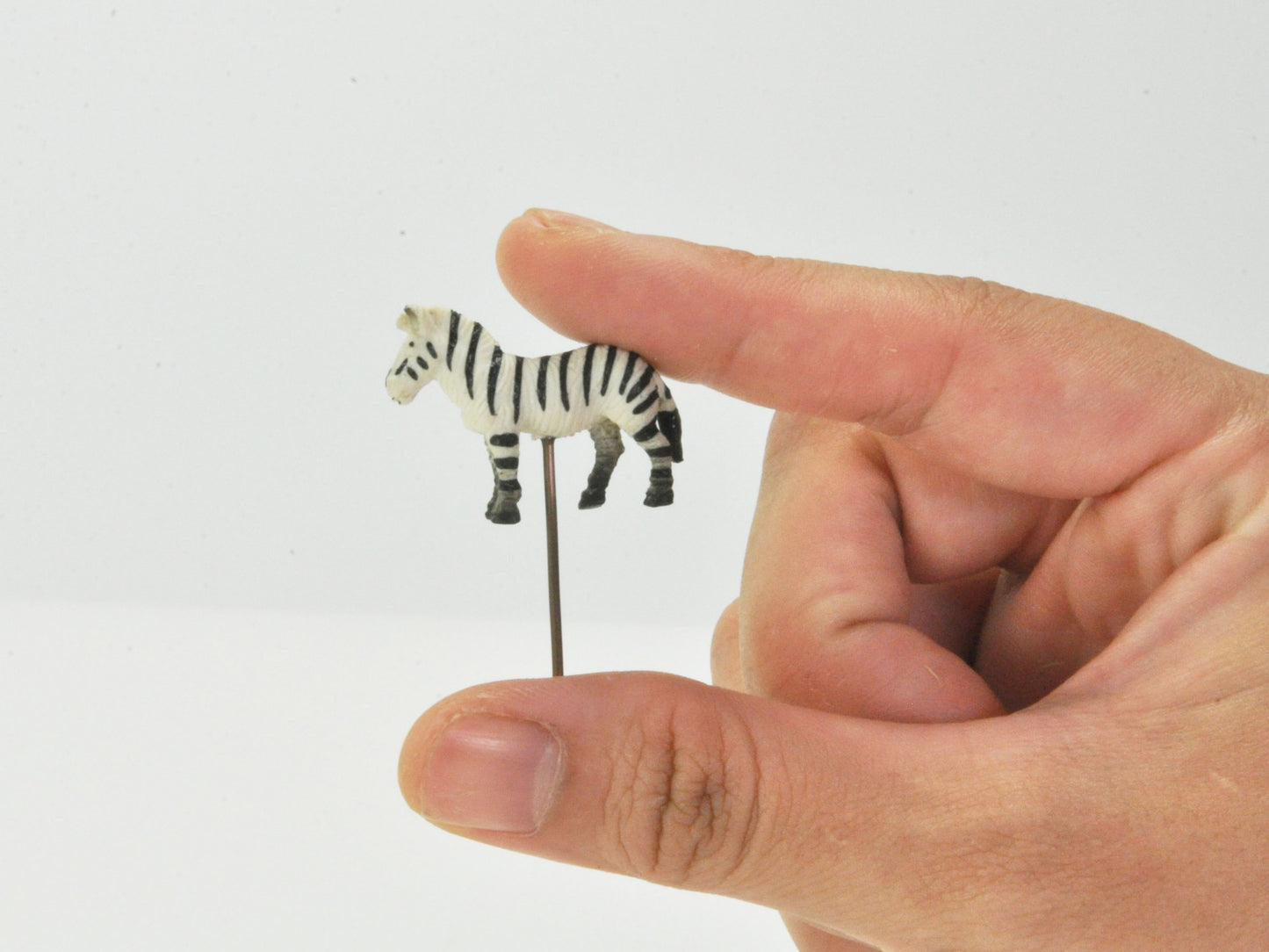 アニマルピック シマウマ