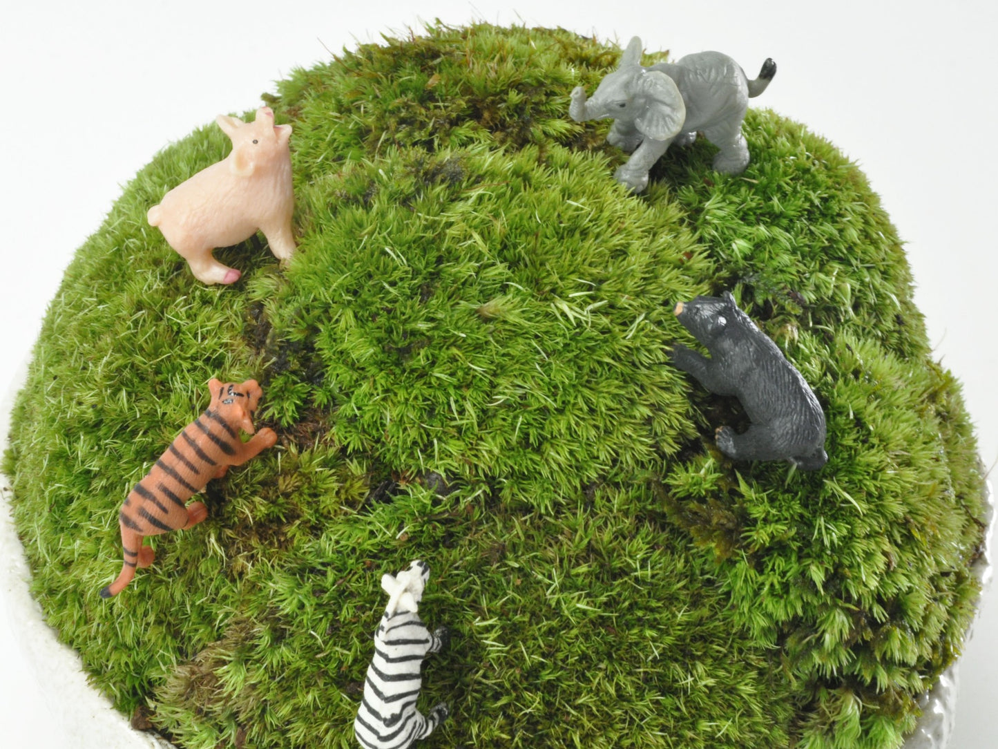 アニマルピック シマウマ