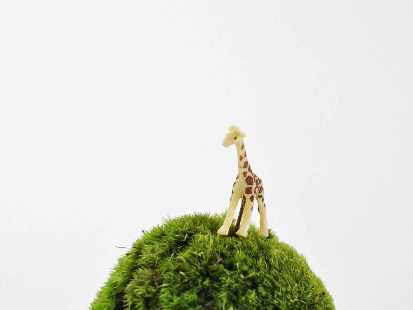 アニマルピック キリン