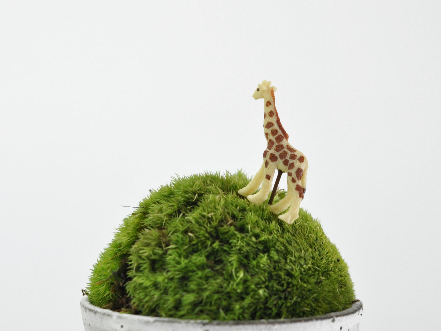 アニマルピック キリン