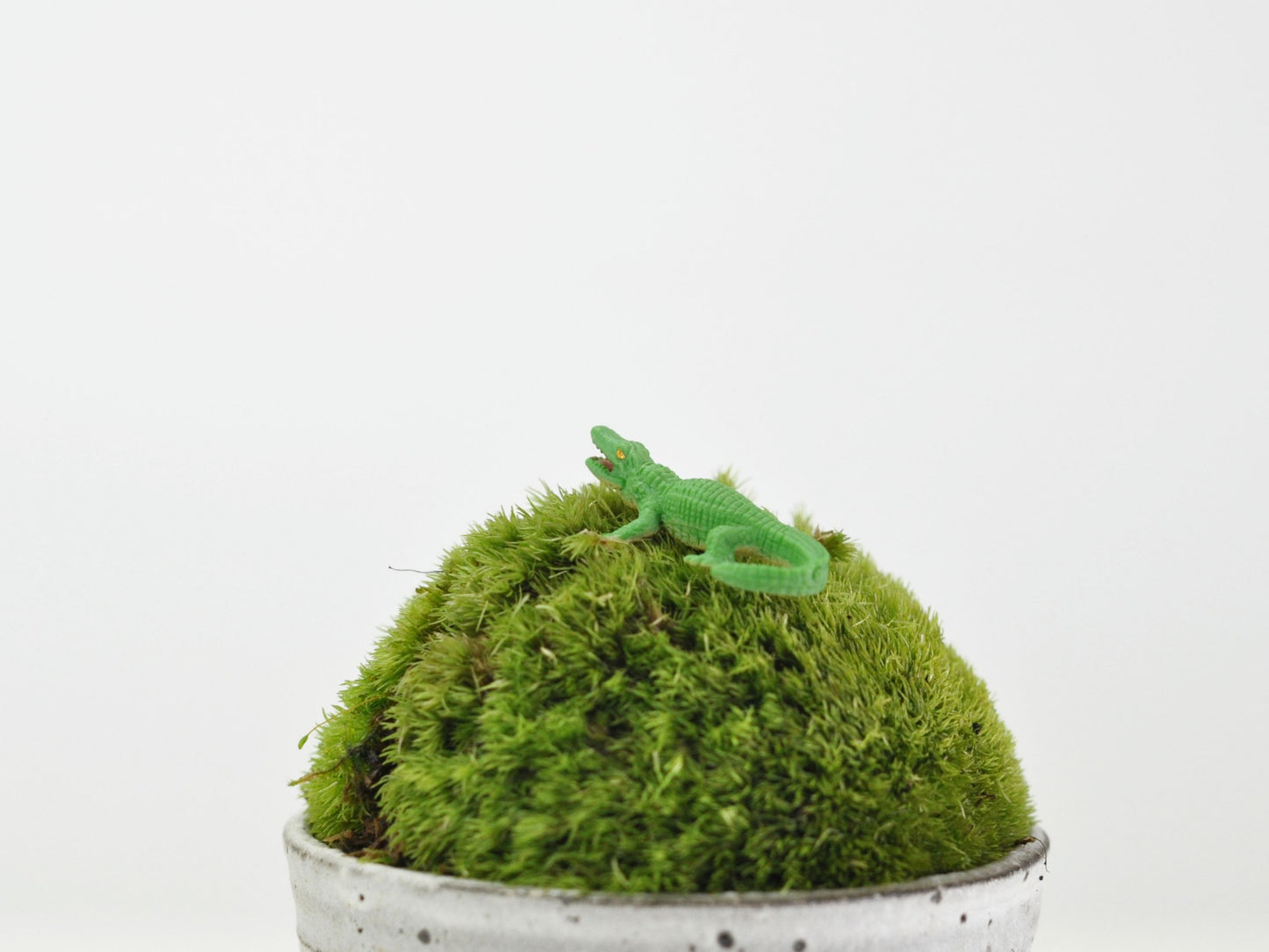 アニマルピック ワニ