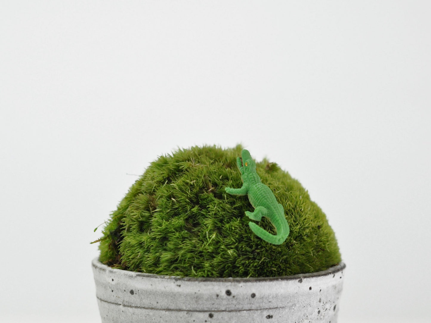 アニマルピック ワニ