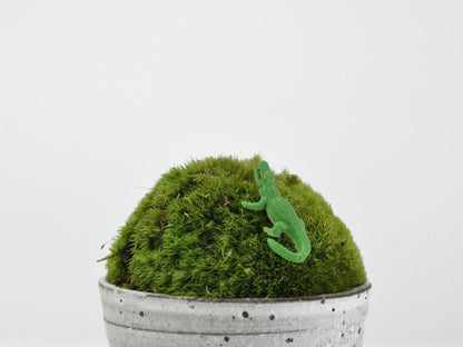 アニマルピック ワニ