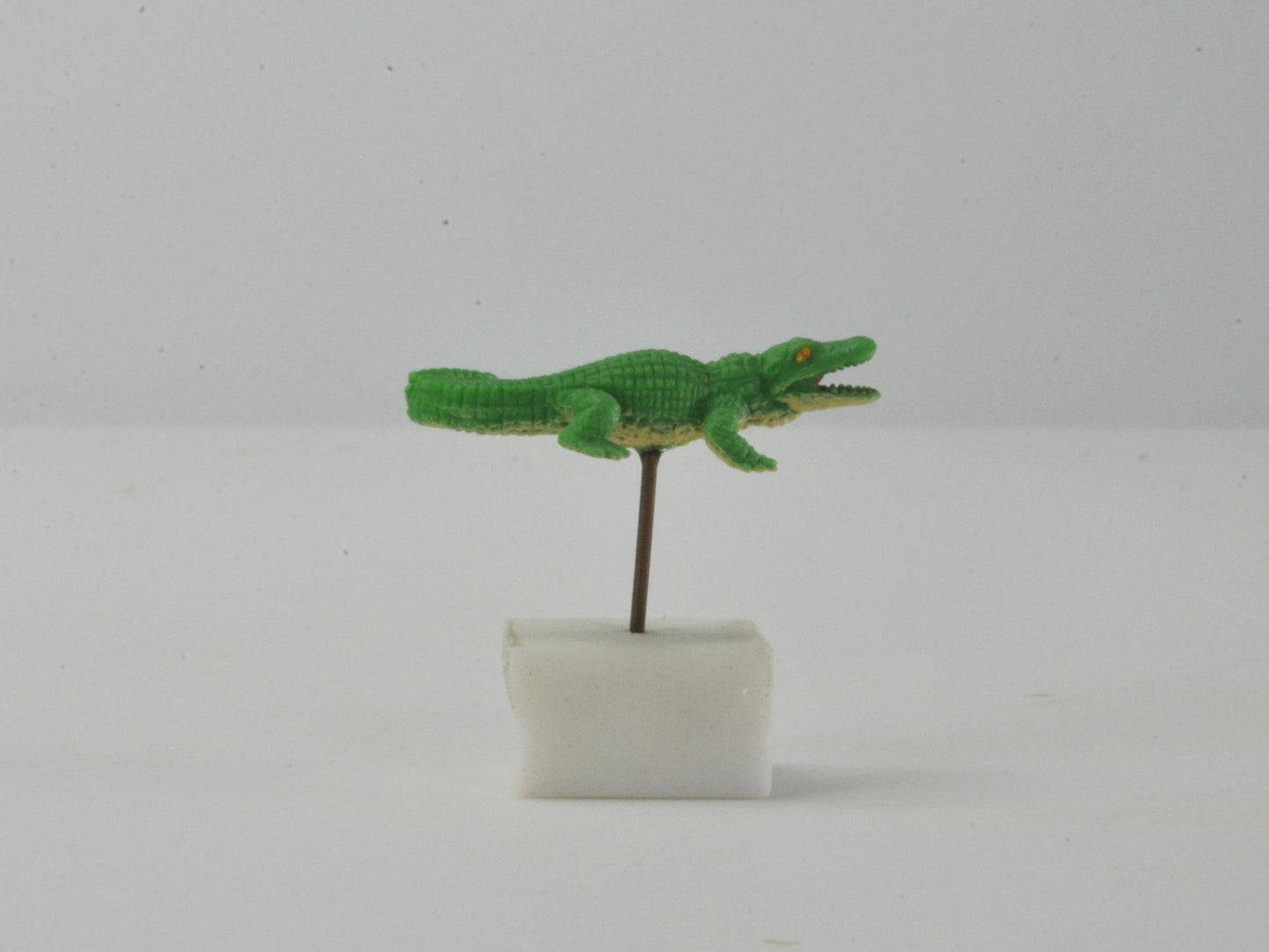 アニマルピック ワニ