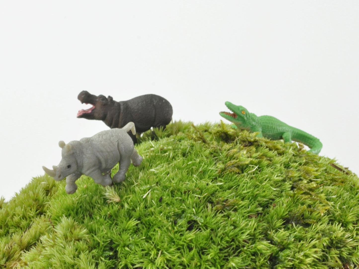 アニマルピック ワニ