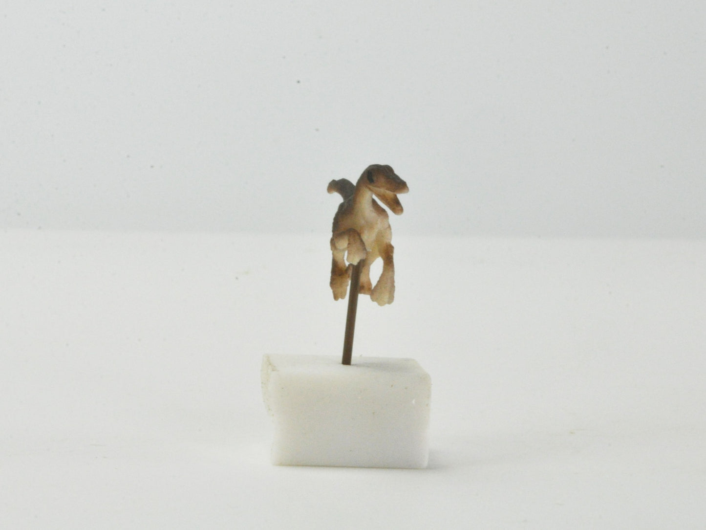 アニマルピック ラプター