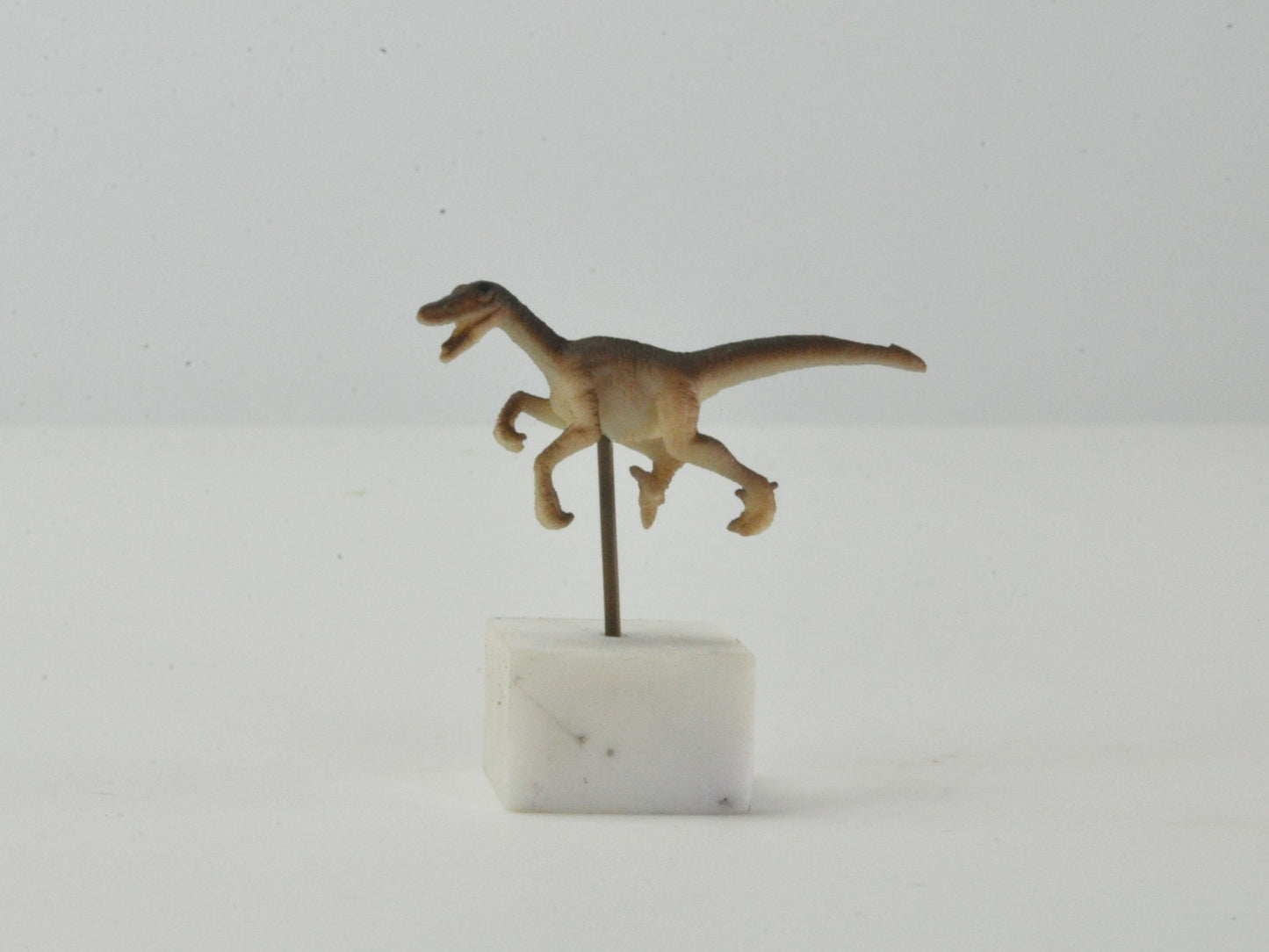 アニマルピック ラプター