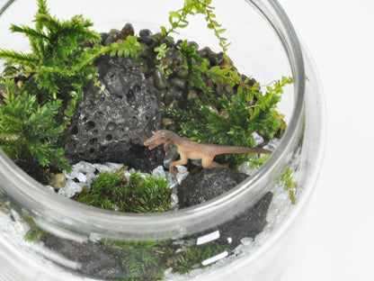 アニマルピック ラプター