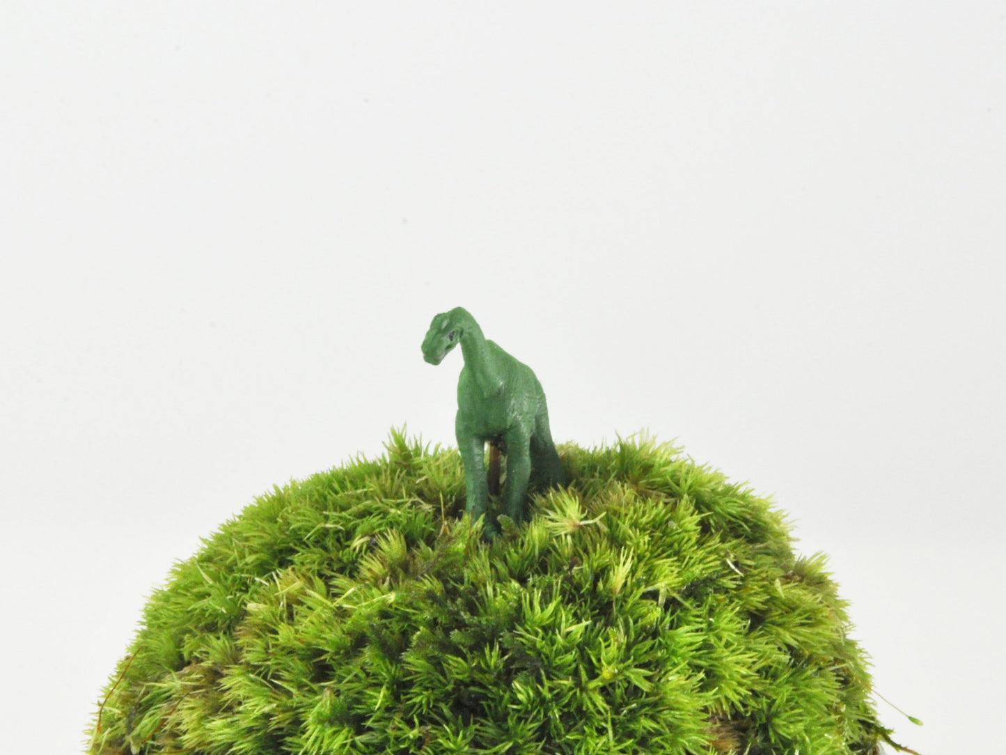 アニマルピック プラキオサウルス