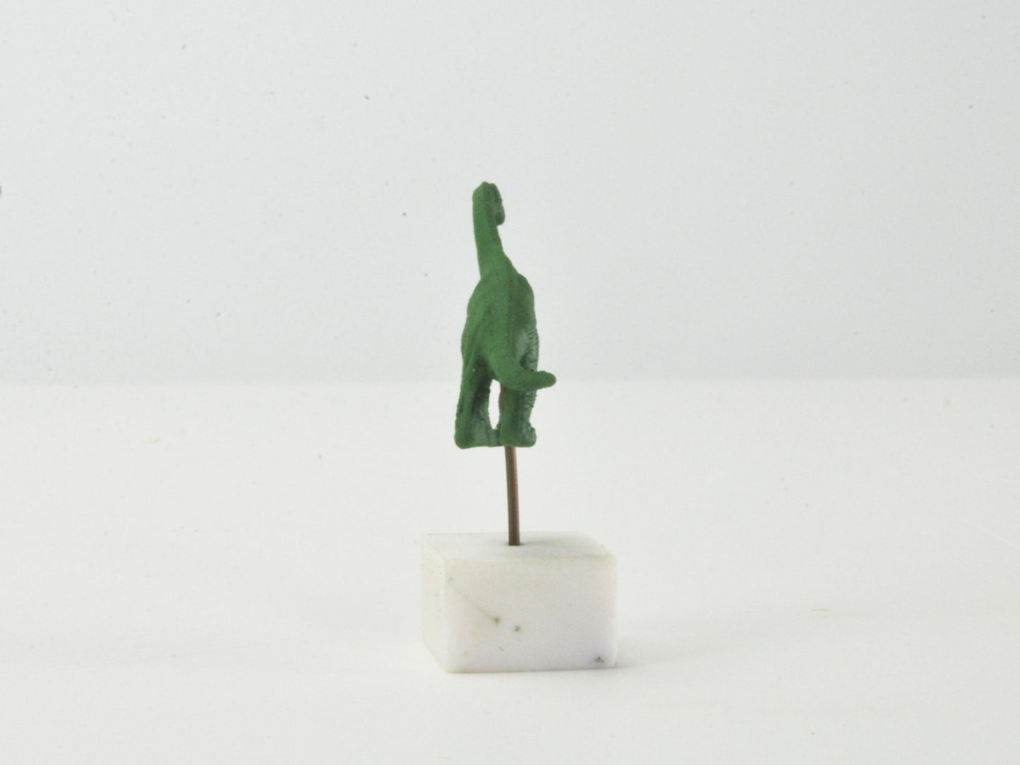 アニマルピック プラキオサウルス