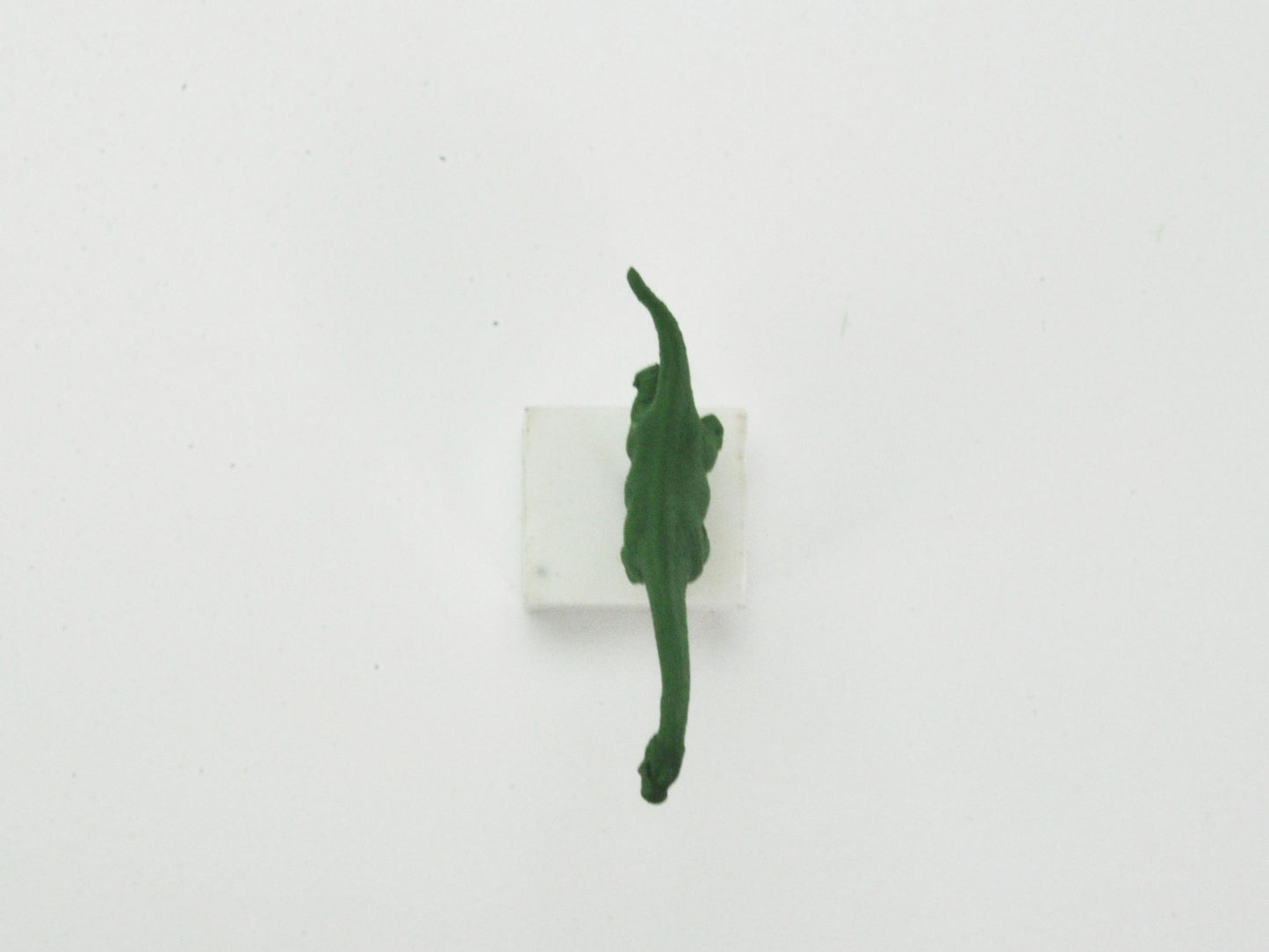 アニマルピック プラキオサウルス