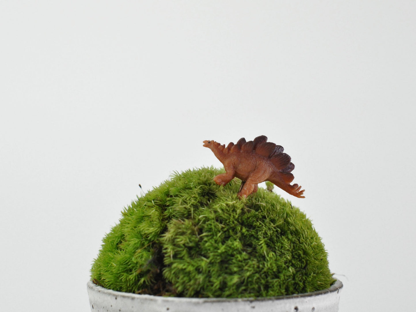 アニマルピック ステゴサウルス