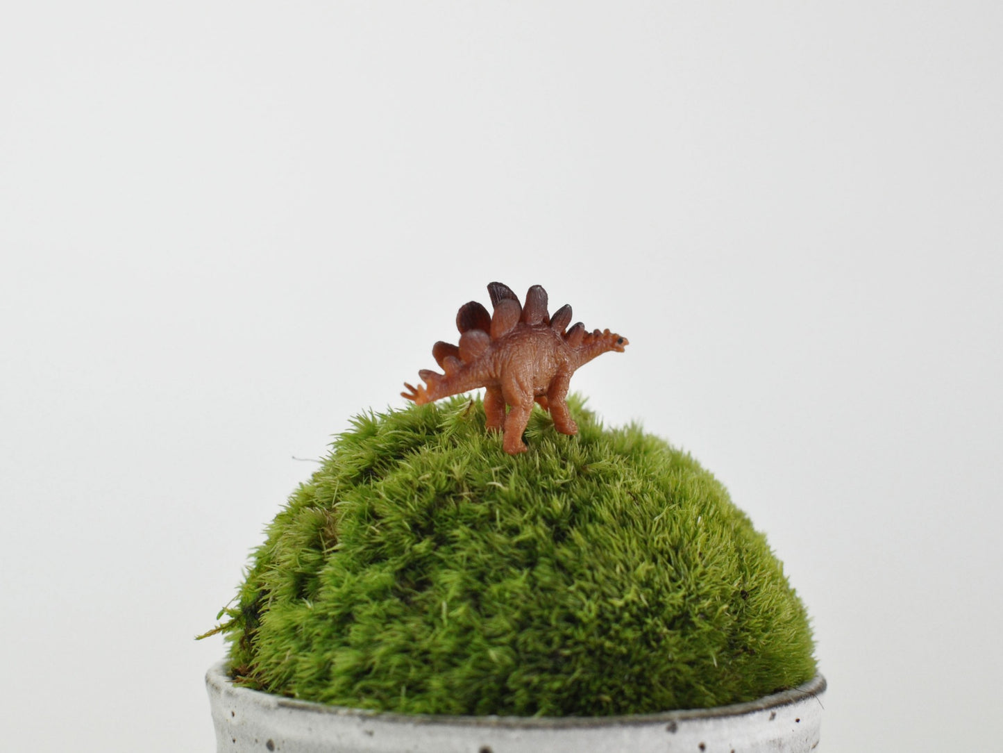 アニマルピック ステゴサウルス