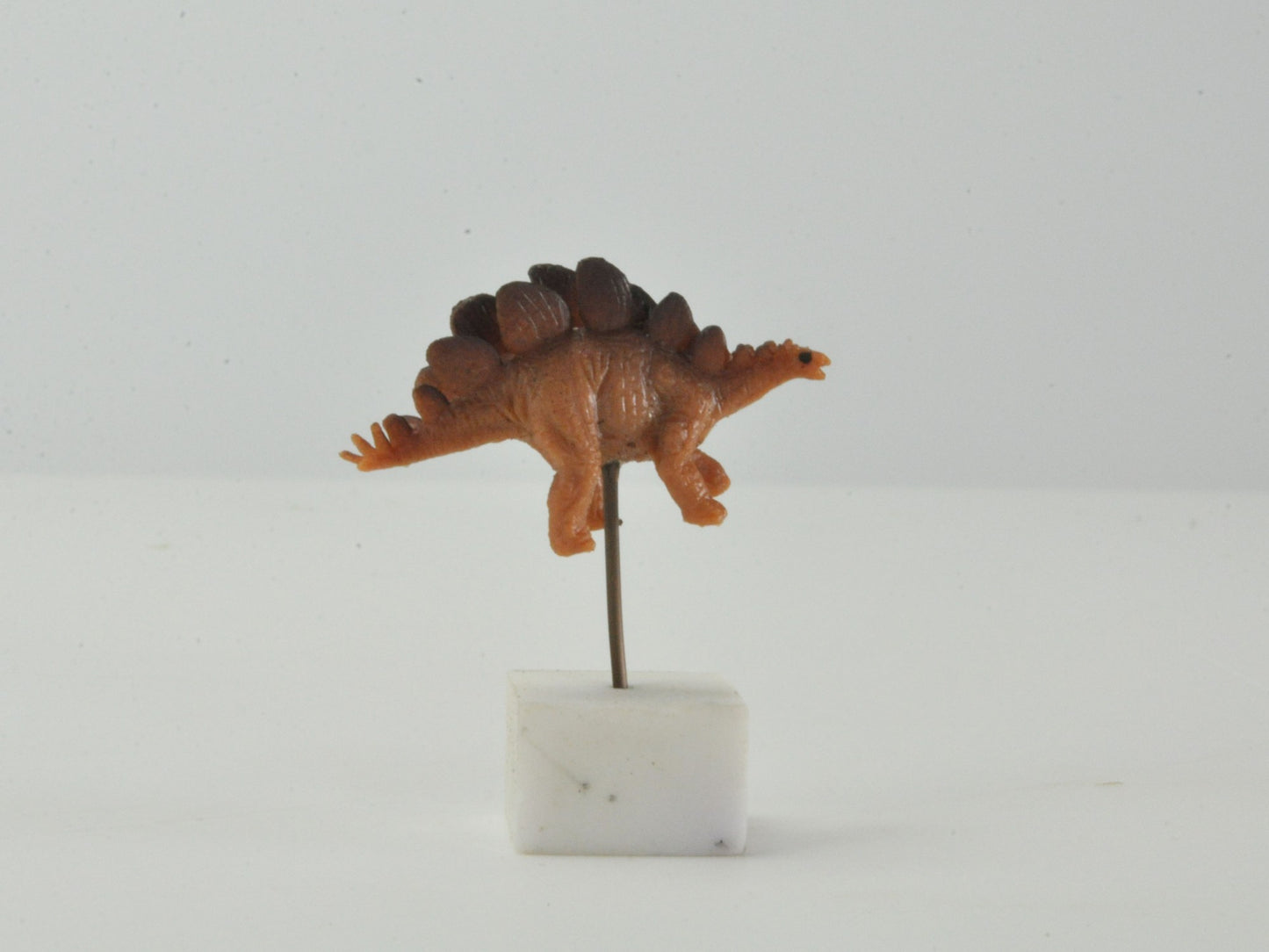 アニマルピック ステゴサウルス