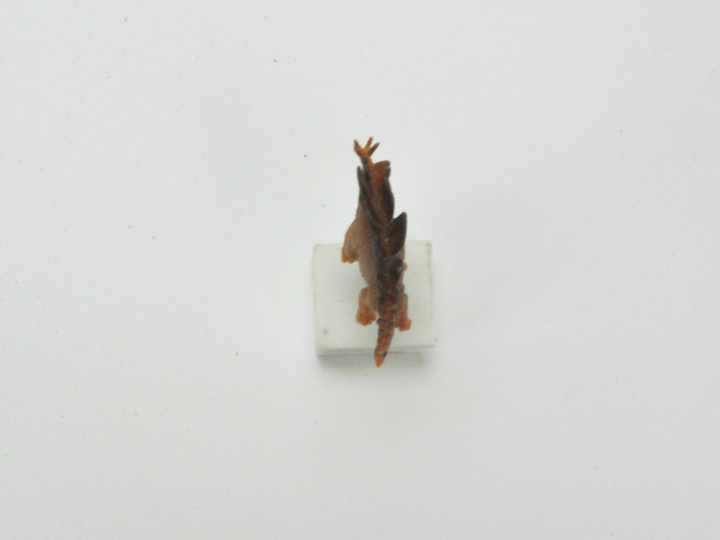 アニマルピック ステゴサウルス